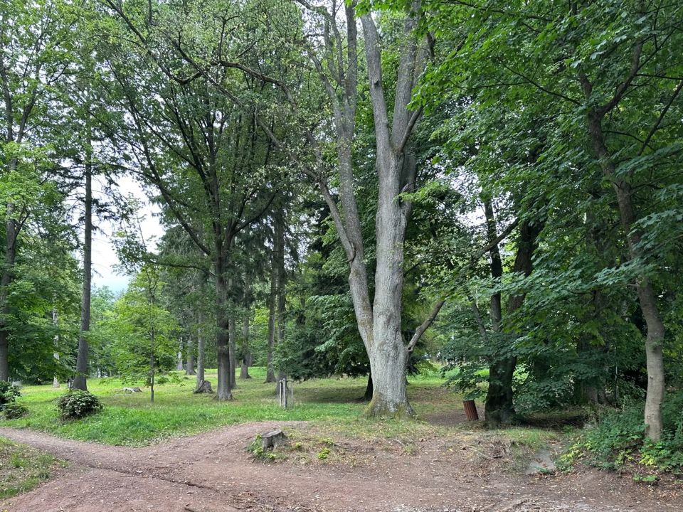 Městský park